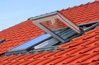 Arnol roof window